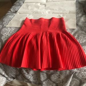 Express skirt